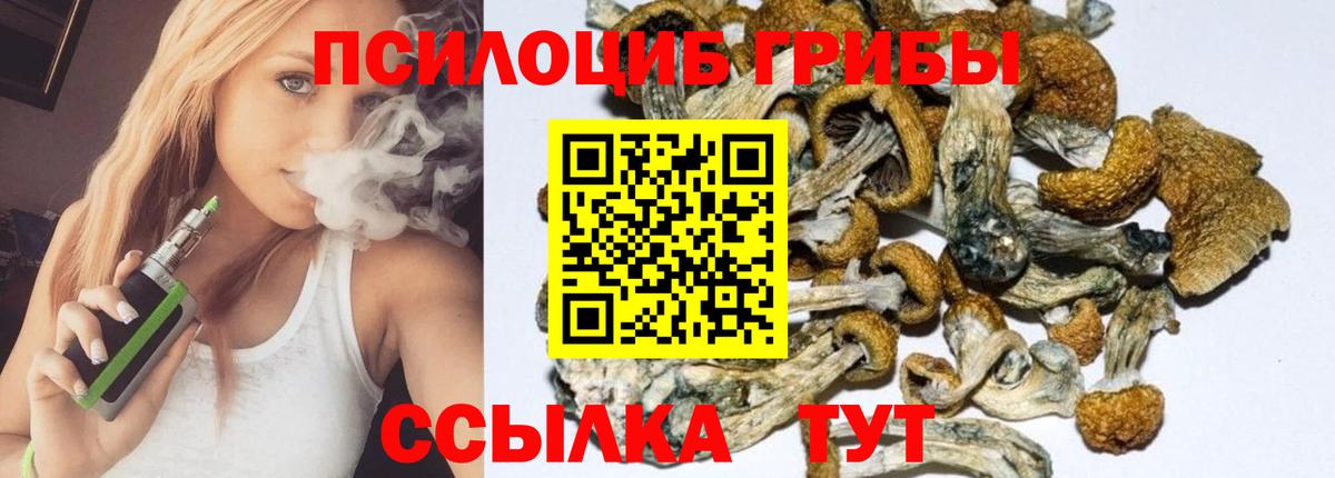 Галлюциногенные грибы прущие грибы Всеволожск