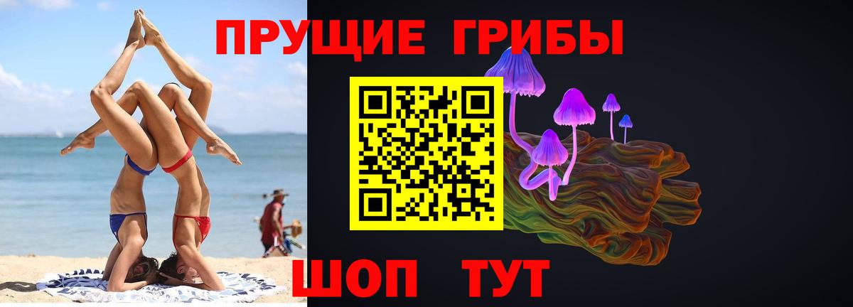 Галлюциногенные грибы MAGIC MUSHROOMS  Вход с VPN  Всеволожск 